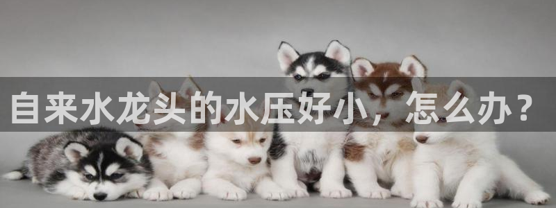 球友会官网入口网址