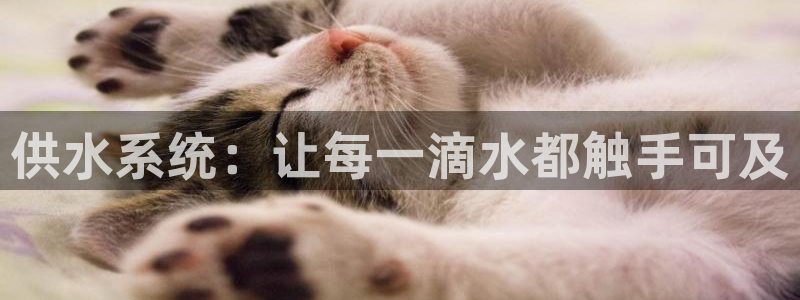 球友会app官网下载