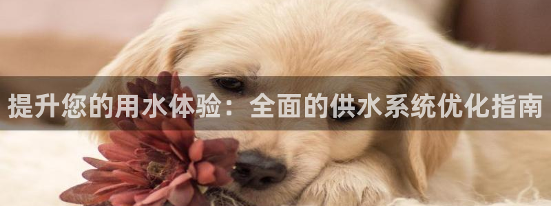 球友会qy怎么进不去