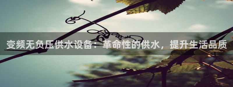 球友会比赛结果查询官网