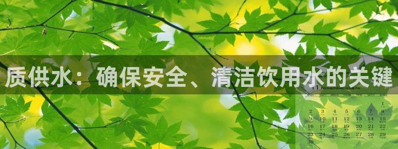 球友会app干啥的呀