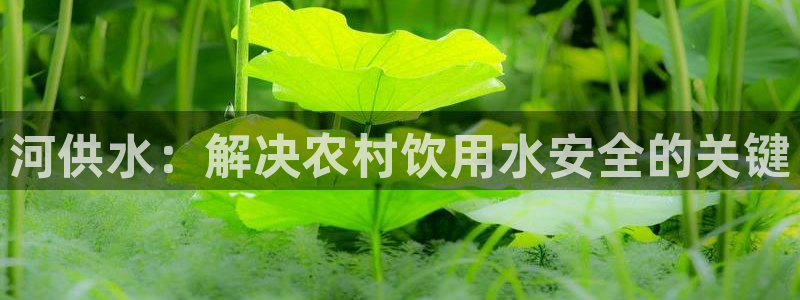球友会聚餐发言