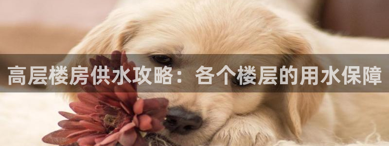 球友会能提现吗