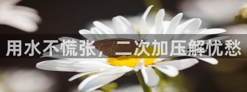 球友会友谊赛7月28日曼联阿森纳