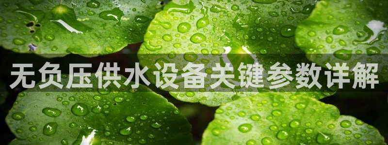 QY球友会体育官网