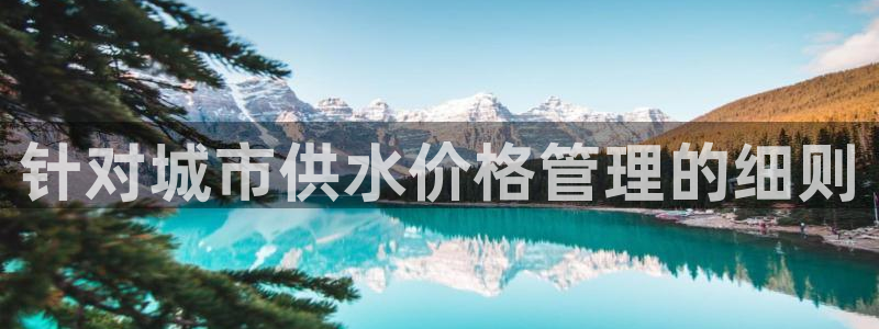 球友会提款审核中
