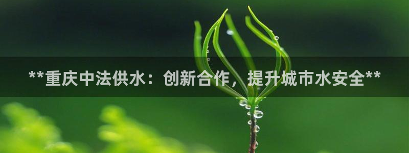 球友会提款审核