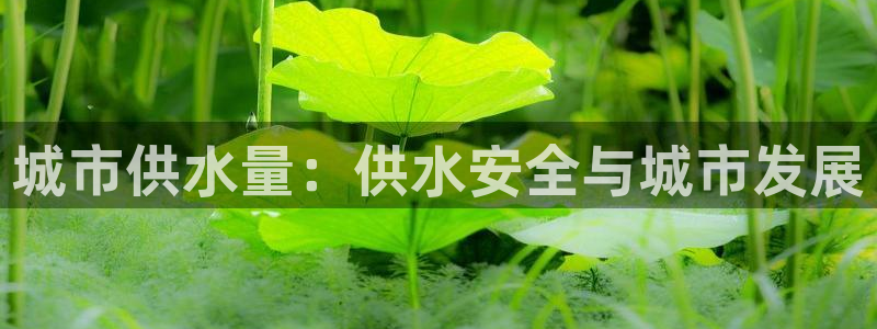 球友会体育app下载安卓最新版