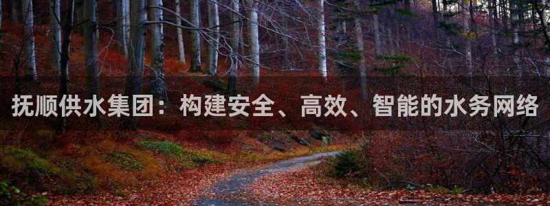 qy球友会体育(中国)官方网站