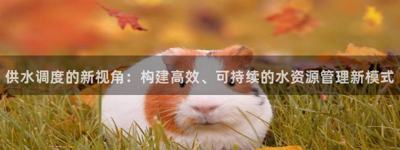 球友会app安全吗可靠吗是真的吗