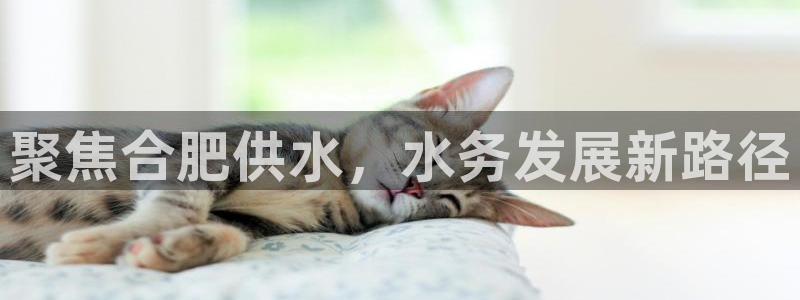 球友会台球俱乐部