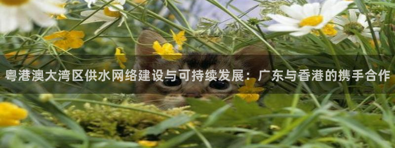 球友会App