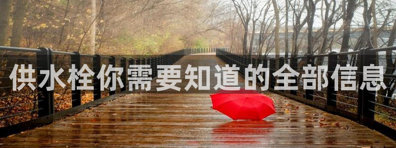 球友会官网登录入口手机版