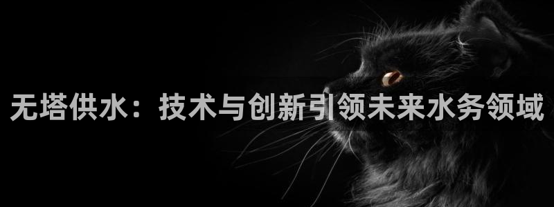 球友会比赛结果查询系统