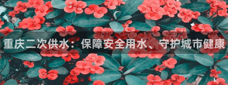 球友会体育app下载安卓