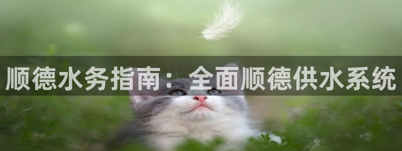 球友会聚餐发言简短