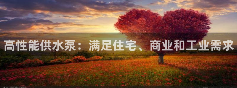 qy球友会体育官方平台