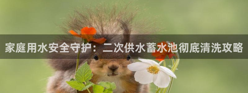 球友会在线登录账号吗