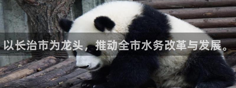 球友会聚餐发言