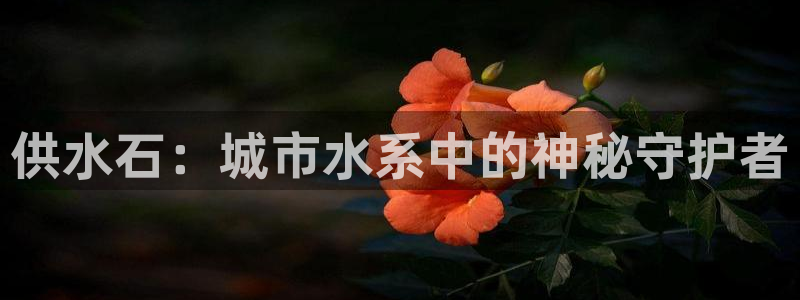 球友会聚餐发言简短