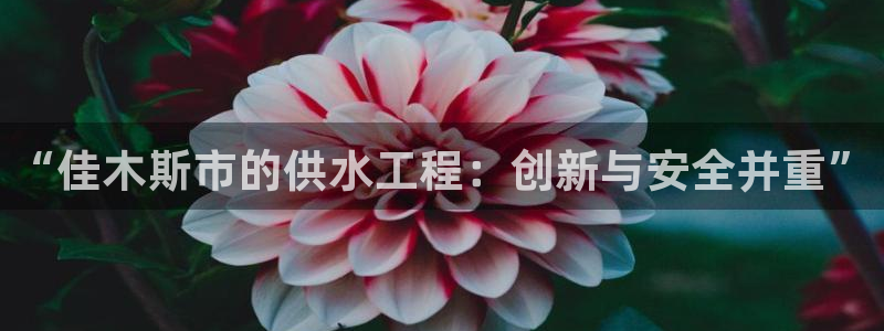 球友会app下载QY