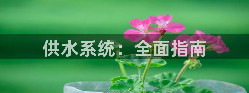 QY球友会体育官网